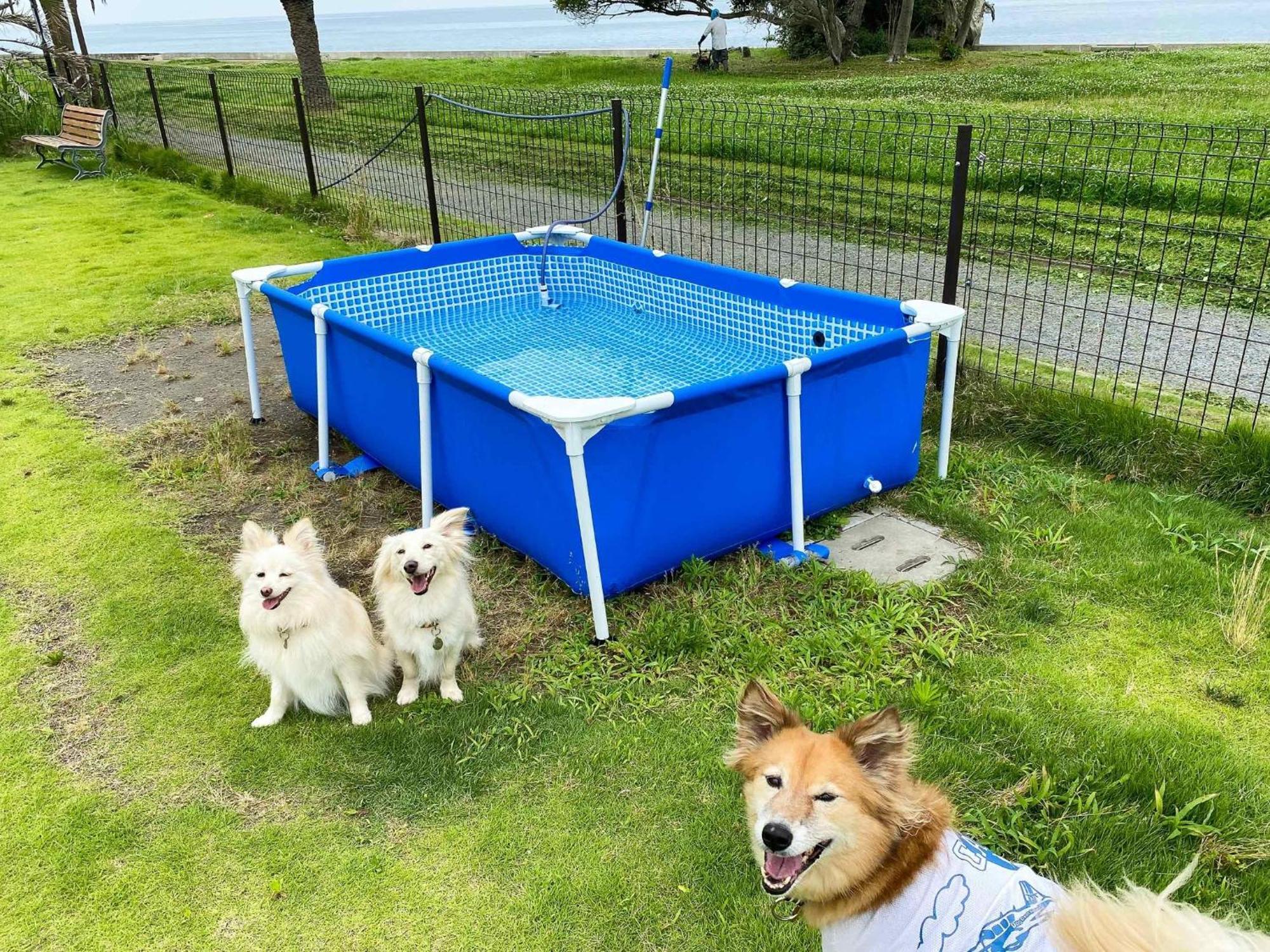 Japari Tateyama - Vacation Stay 84008V Екстериор снимка